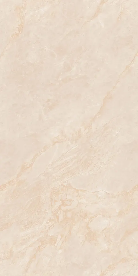 INDO BEIGE SILK view 3